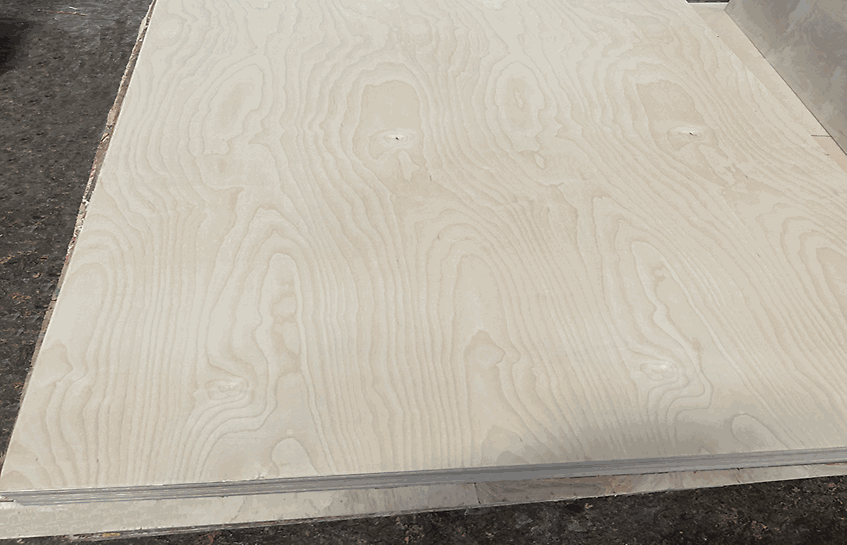 Birch plywood