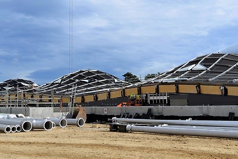 A timber gridshell shapes the undulating roof and gives the distillery its unique geometry
