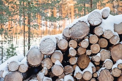 PERI Pave ist im Kern ein nachhaltiges Produkt. Das verwendete Birkenholz ist robust und besonders langlebig. Es stammt aus zertifizierten Anbaugebieten. Darüber hinaus erfolgt die Produktion energieeffizient, und anfallende Abfallprodukte werden restlos weiterverwertet. Außerdem ermöglicht die Reparatur eine noch längere Einsatzdauer.
