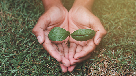 Slik jobber vi med bærekraft