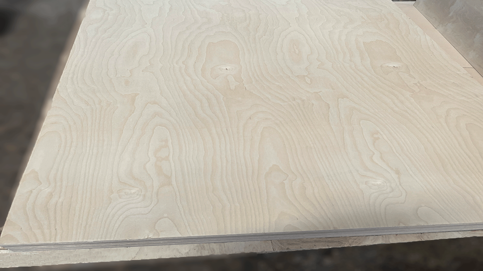 Birch